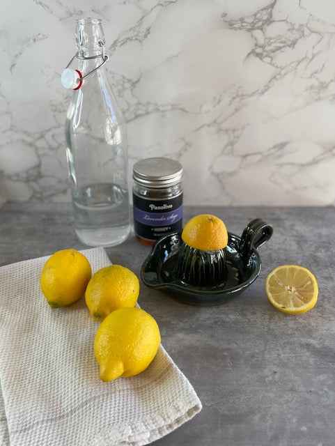 Ceramic Citrus Juicer || Lemon Juicer || Orange Juicer Handmade Clay